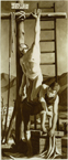 pag2_104.jpg (19436 byte)